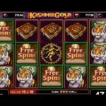 Slot dengan Tingkat Volatilitas Rendah untuk Pemula